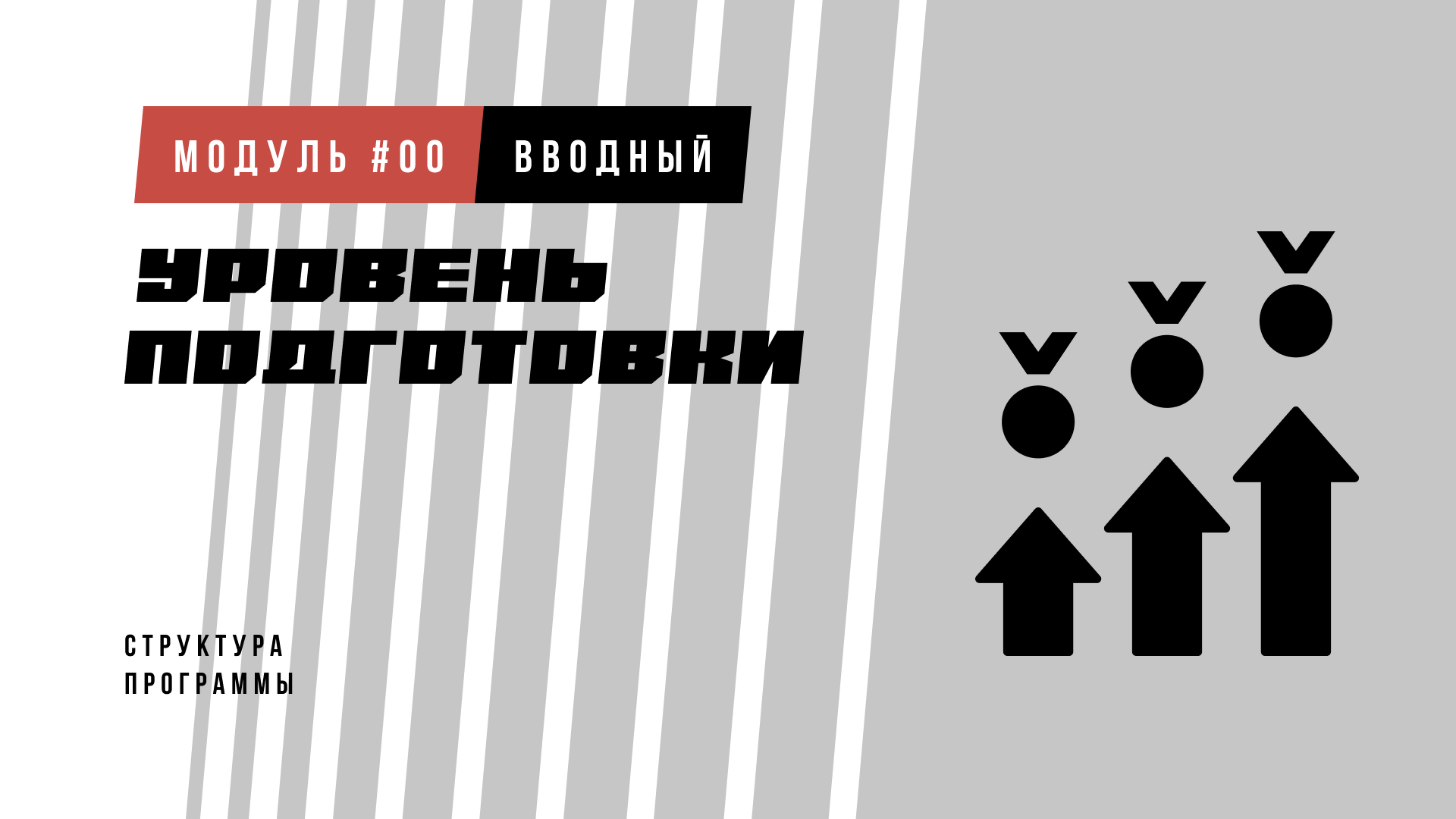 bobr