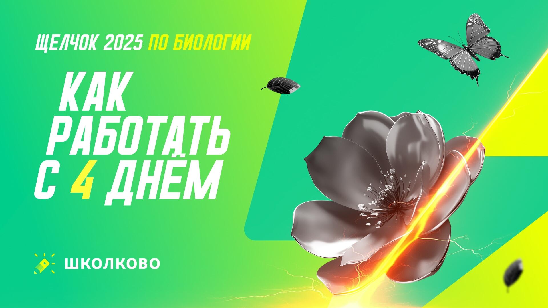 bobr