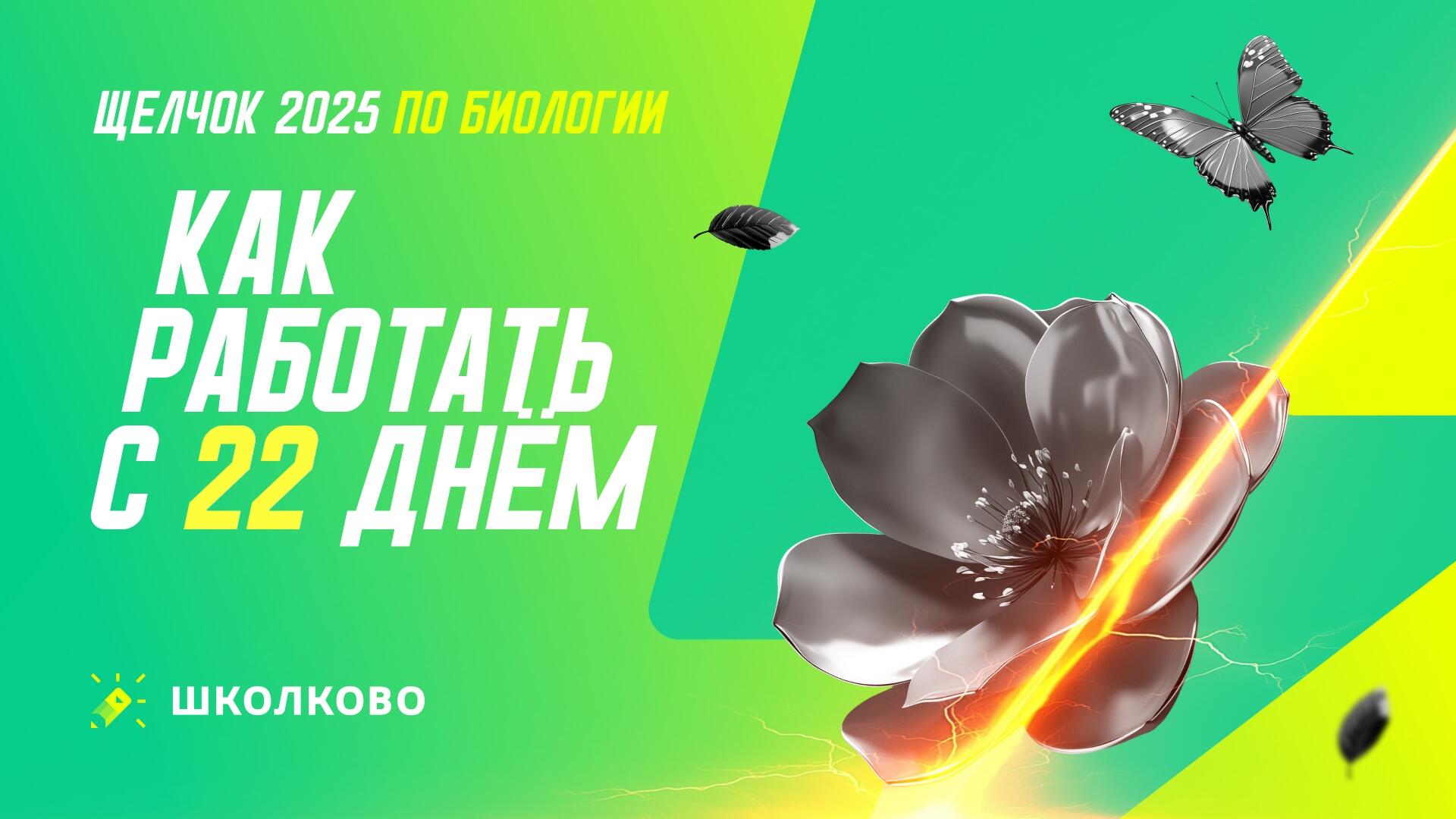 bobr
