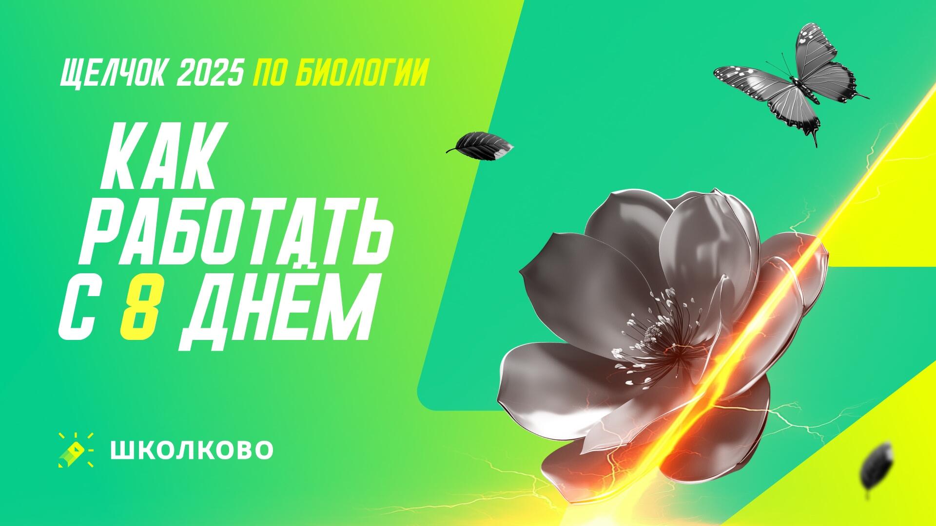 bobr