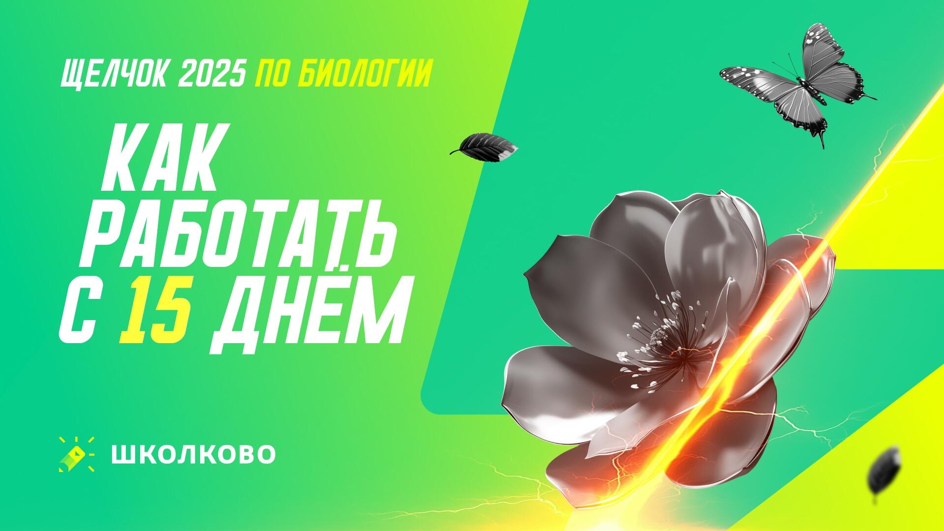 bobr