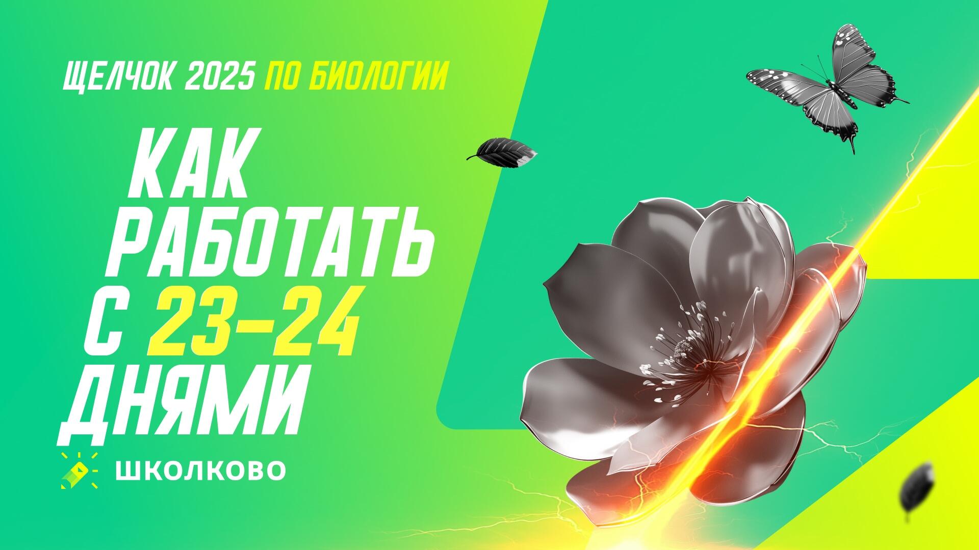 bobr