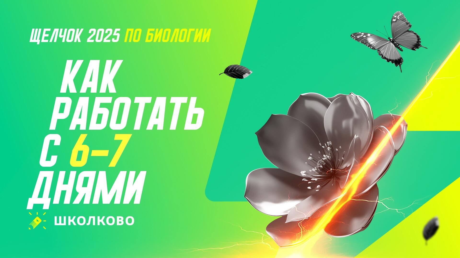 bobr