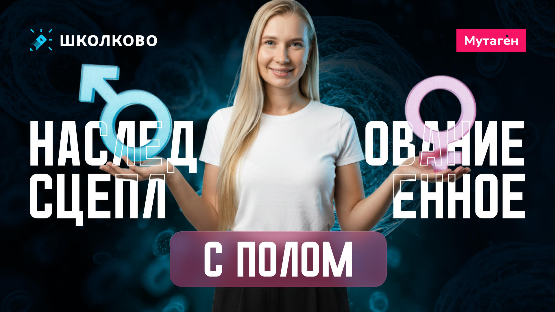 bobr
